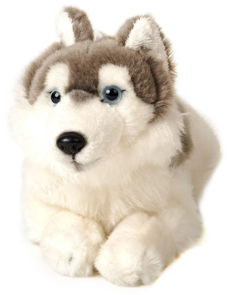 Plyšový pes HUSKY 29 cm (70286)