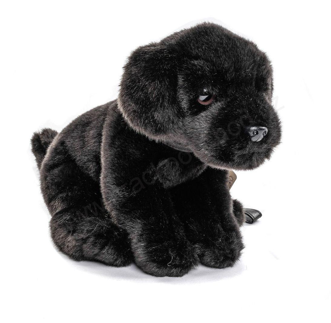 Plyšový pes Labrador černý s vodítkem, sedící, 30 cm - ECO-FRIENDLY