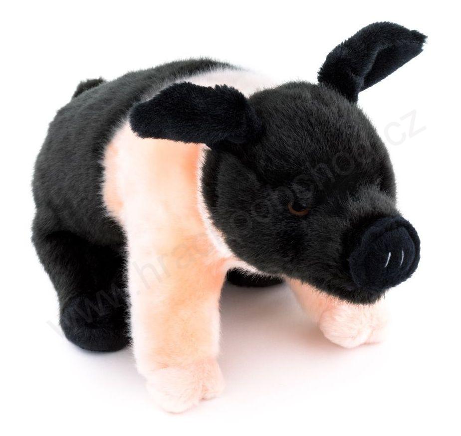 Plyšové Prase růžovočerné 25 cm