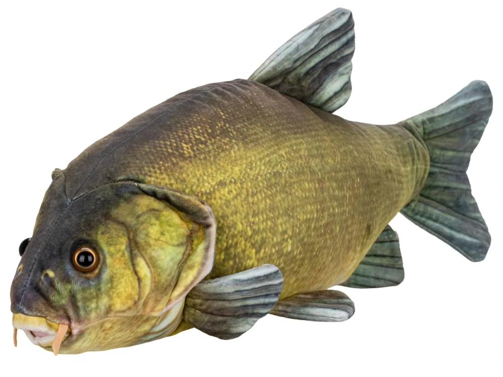 Mikro trading Plyšová ryba LÍN 50 cm