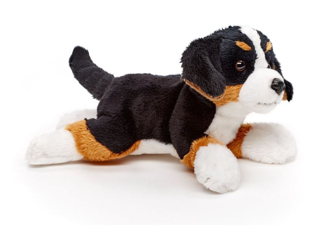 Plyšový pes BERNSKÝ štěně 21 cm