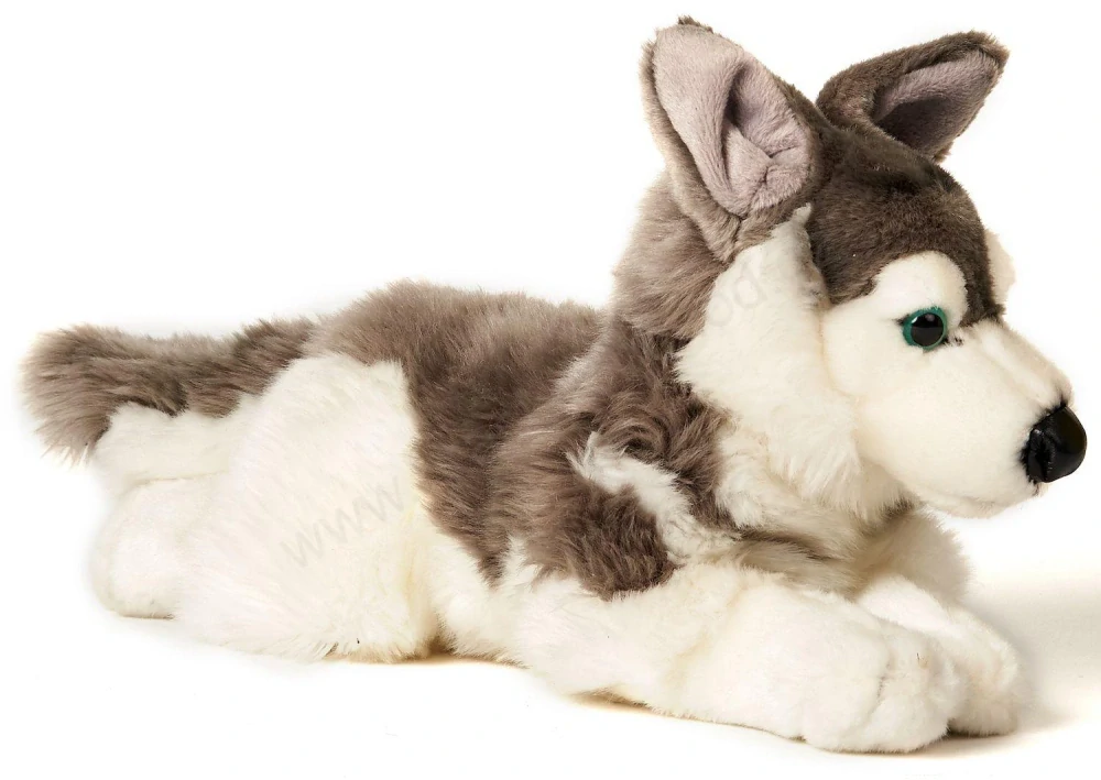 Plyšový pes HUSKY 43 cm  ECO - FRIENDLY