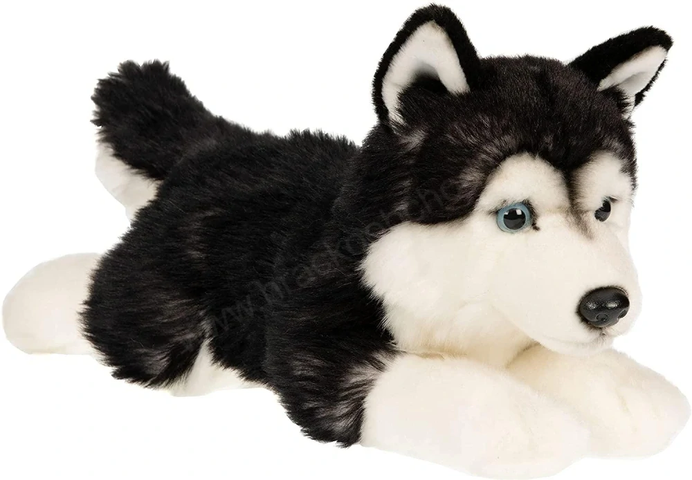 Plyšový pes Husky ležící 35 cm