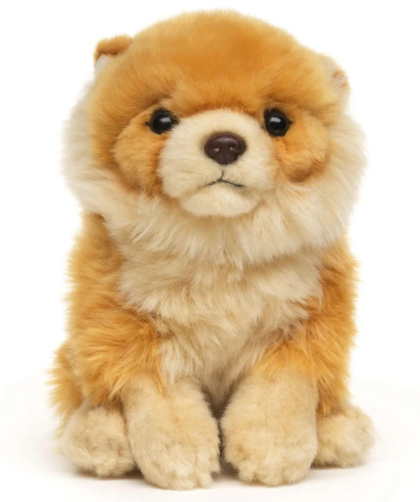 Plyšový Pes Pomeranian, štěně 17 cm