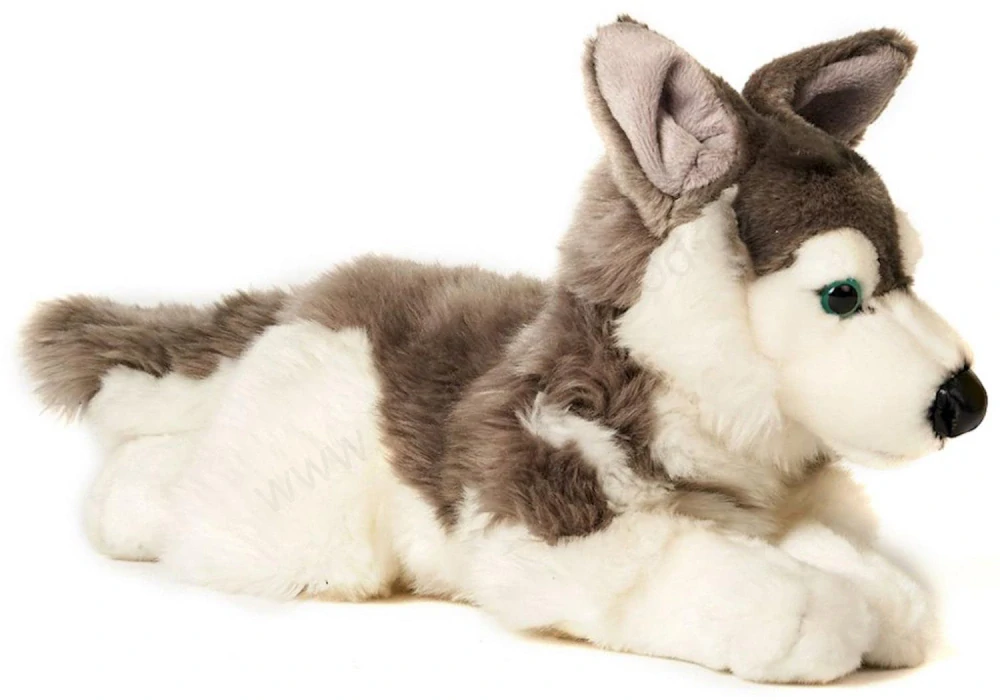 Plyšový pes HUSKY 32 cm ECO - FRIENDLY