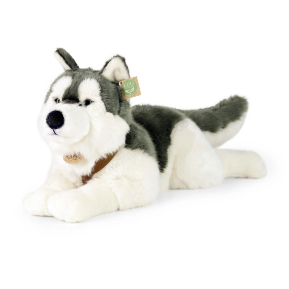  Plyšový pes husky s postrojem, ležící, 60 cm ECO-FRIENDLY 