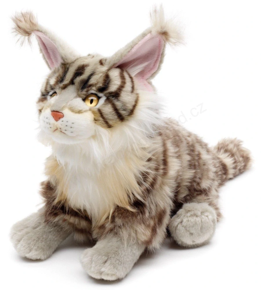 Plyšová kočka Mainská mývalí sedící 31 cm
