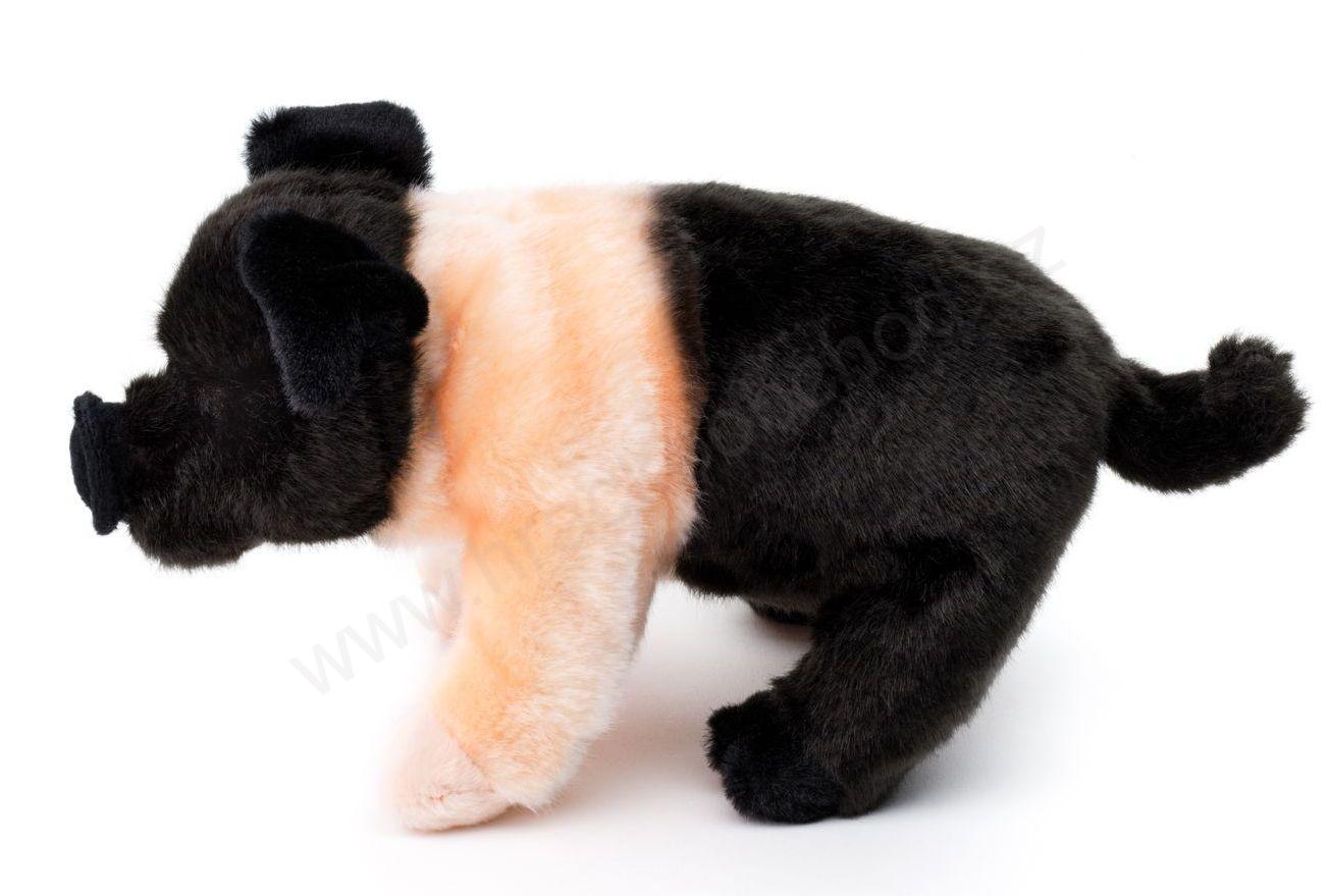Plyšové Prase růžovočerné 25 cm