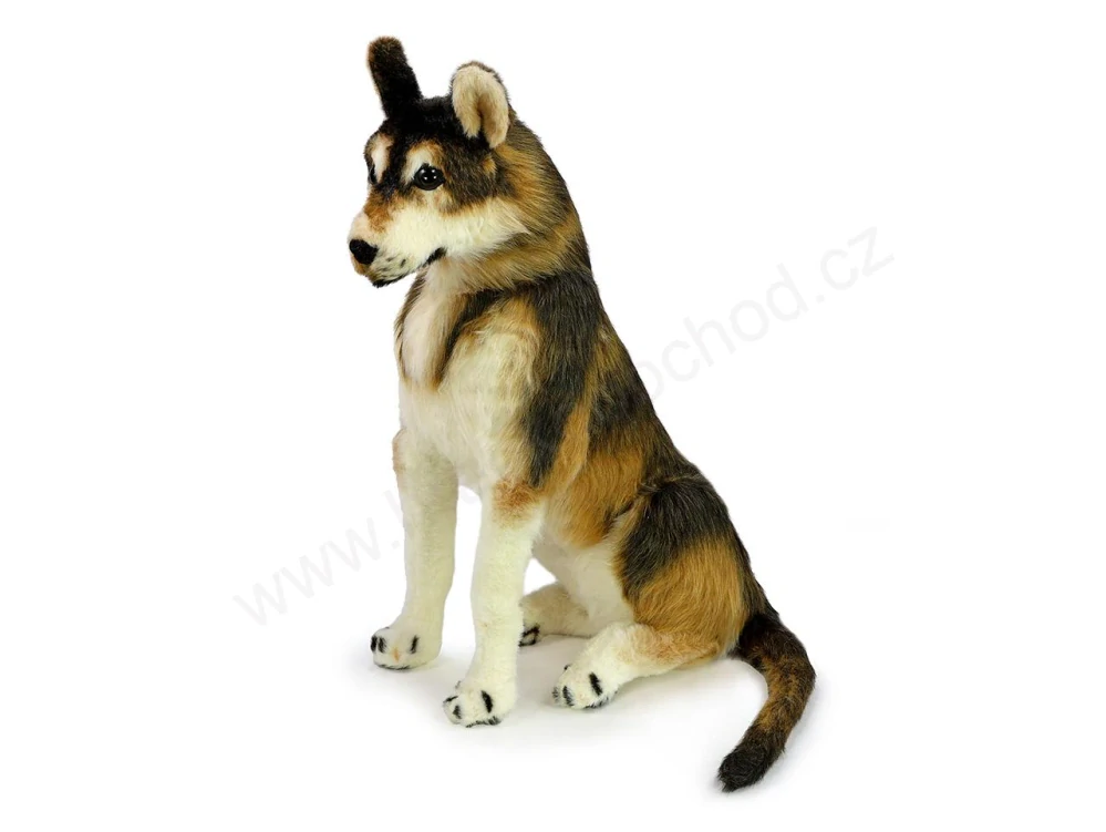 Plyšový pes husky s realistickou srstí 100 cm + ocas 55 cm