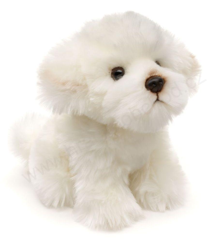  Plyšový pes maltézský 18 cm ECO-FRIENDLY
