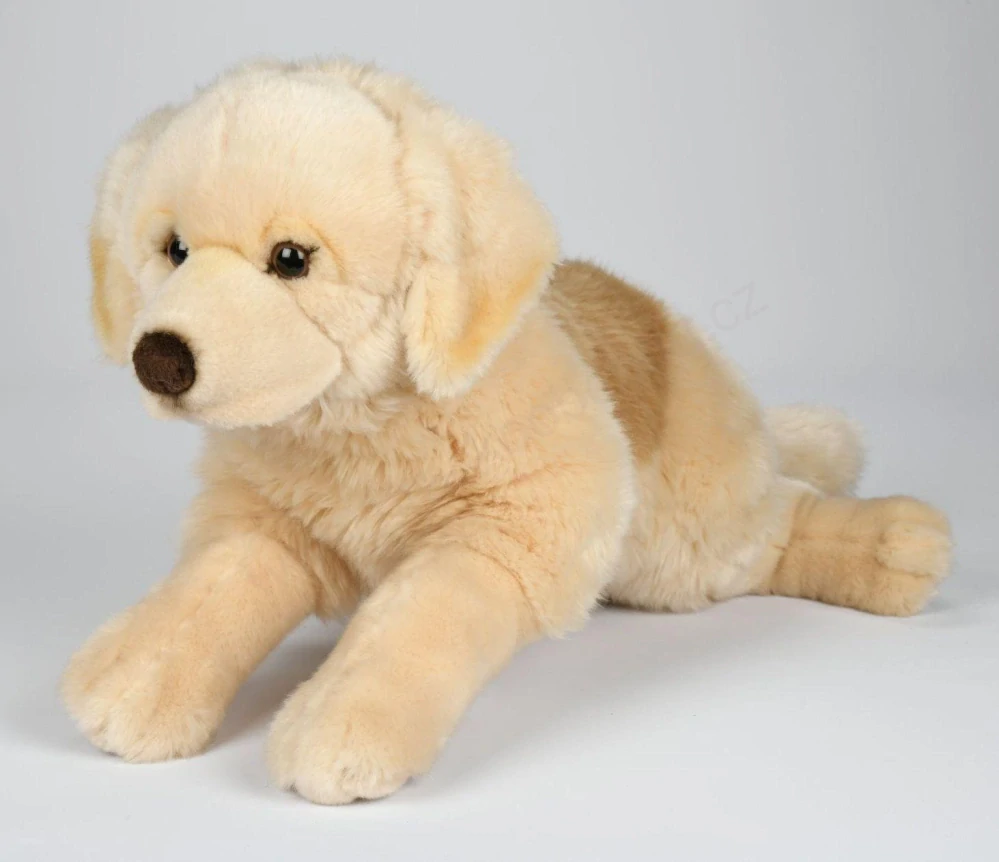 Plyšový pes RETRÍVR ležící 62 cm