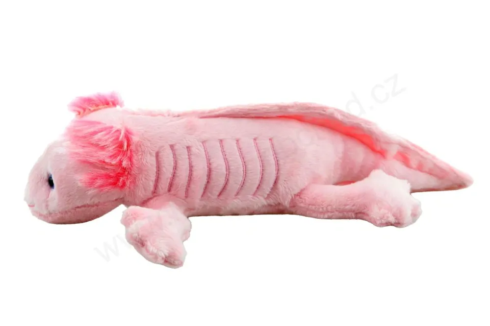 Plyšový Axolotl růžový 28 cm