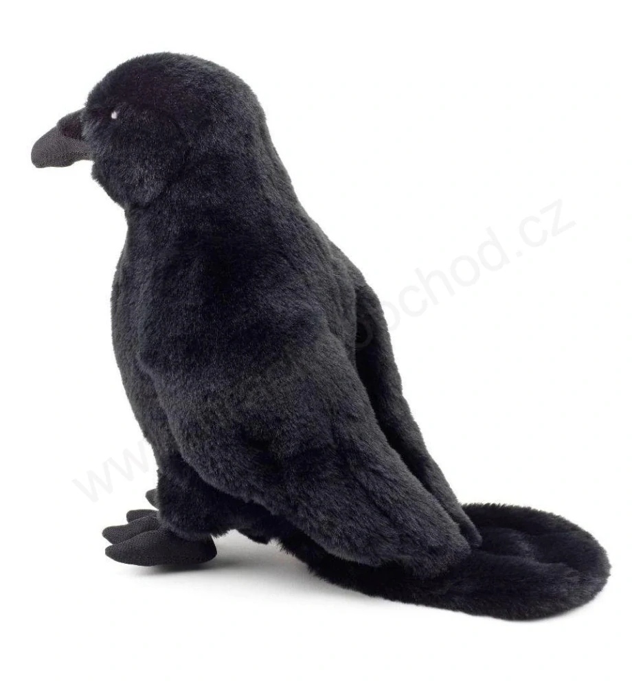Plyšová Vrána - havran 25 cm - se zvukem