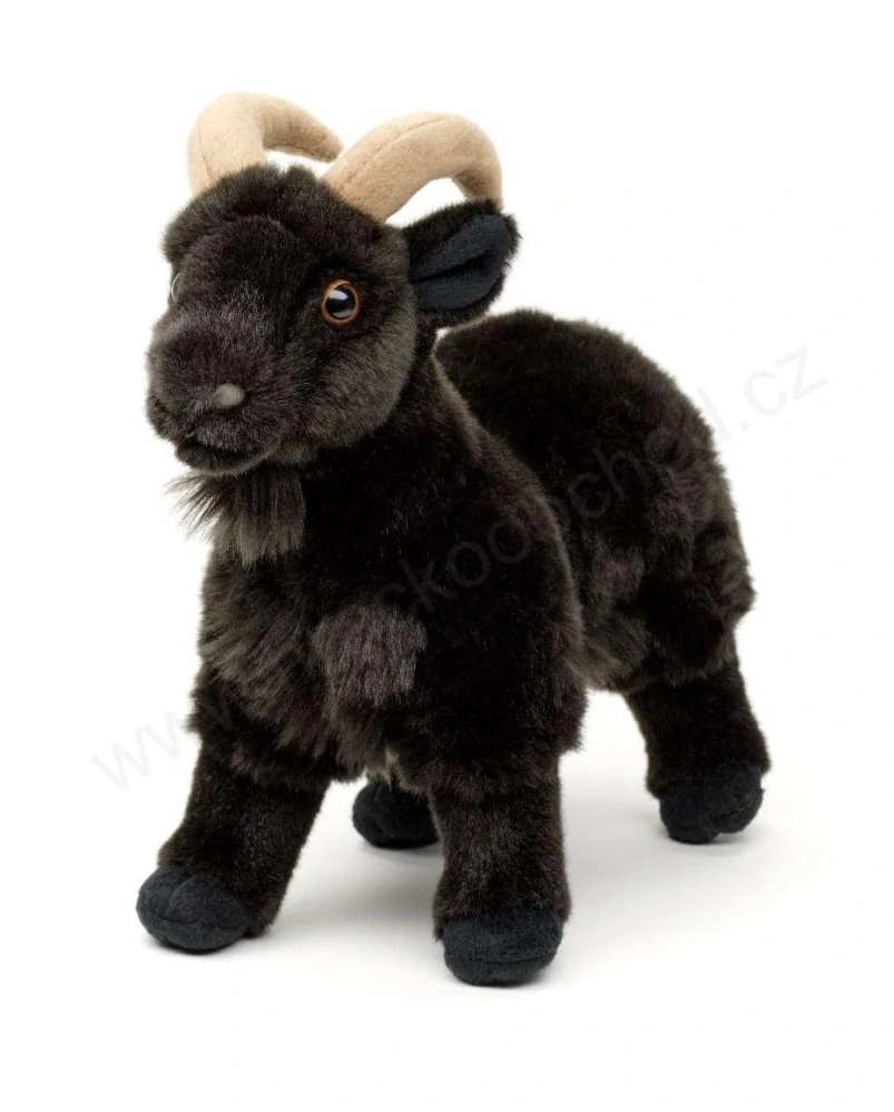 Plyšová KOZA - KOZEL černý 26 cm
