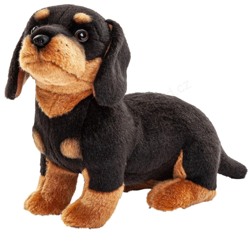 Plyšový pes JEZEVČÍK 27 cm,  s vodítkem