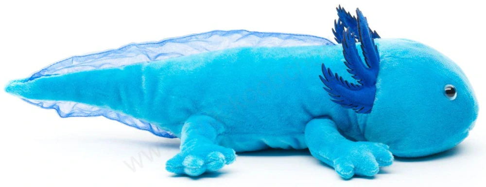 Plyšový Axolotl modrý 30 cm