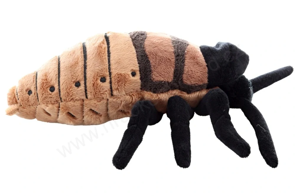 Plyšový  Šváb syčící, 20 cm