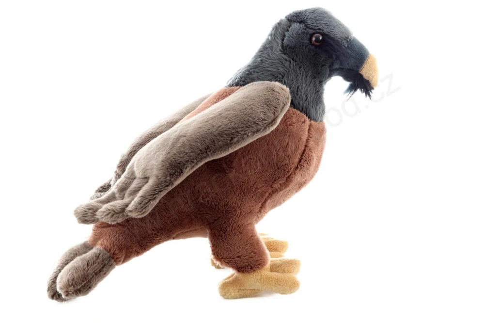 Plyšový pták Orlosup bradatý 25cm
