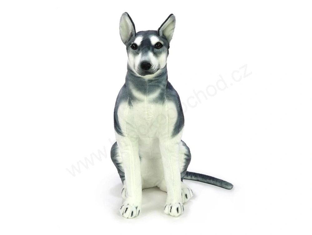 Plyšový pes husky sedící 90 cm + ocas 43 cm