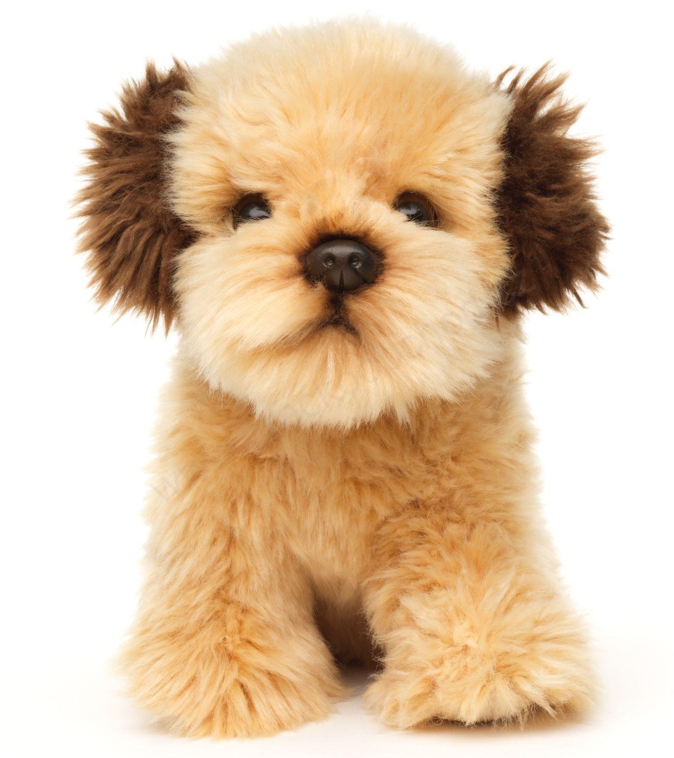 Plyšový pes Shih-tzu (havanský psík) 18 cm ECO FRIENDLY