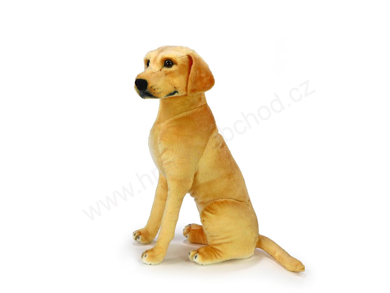 Plyšový pes Retrívr / Labrador, sedící, 64 cm 