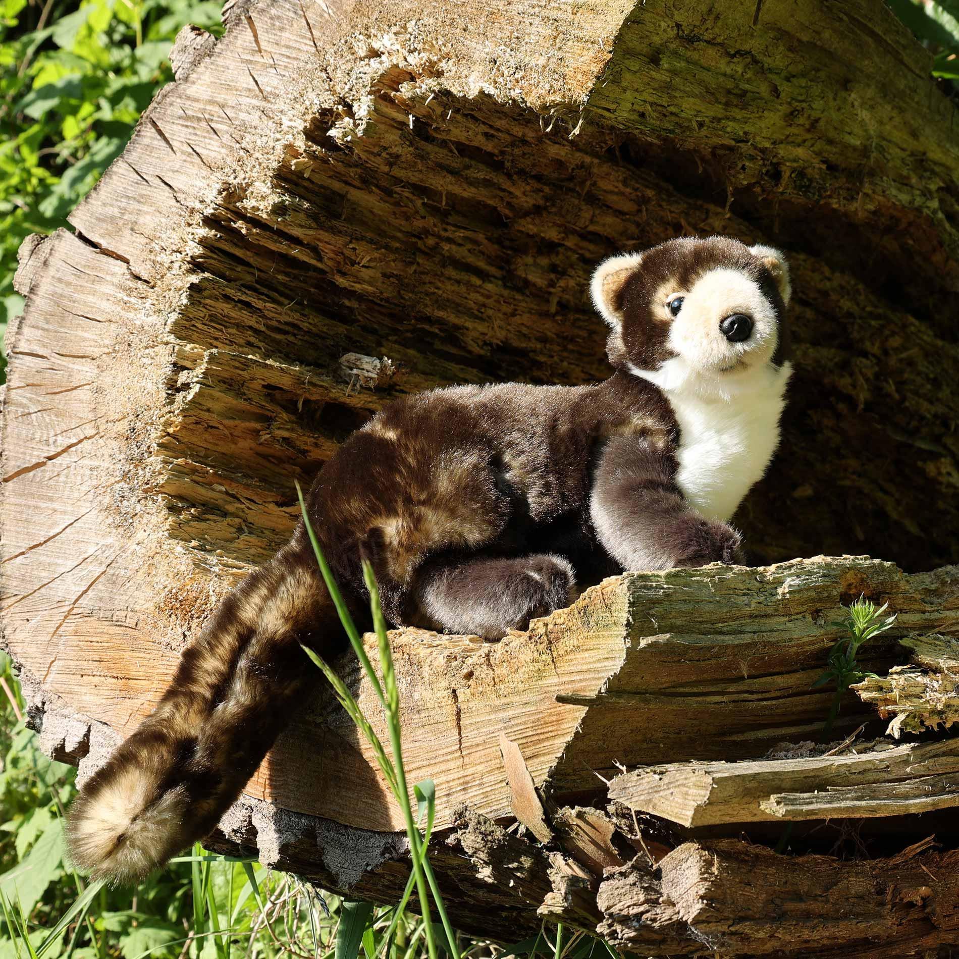 Plyšová KUNA 39 cm