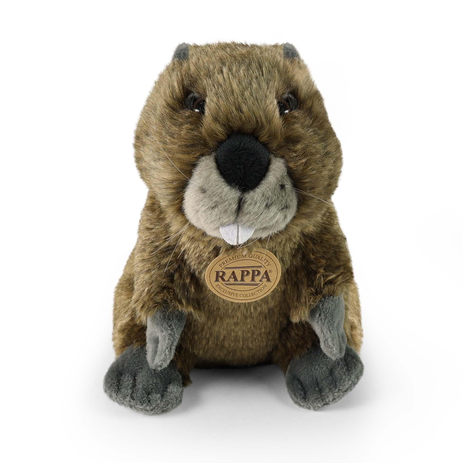 Plyšový bobr sedící 22 cm ECO-FRIENDLY