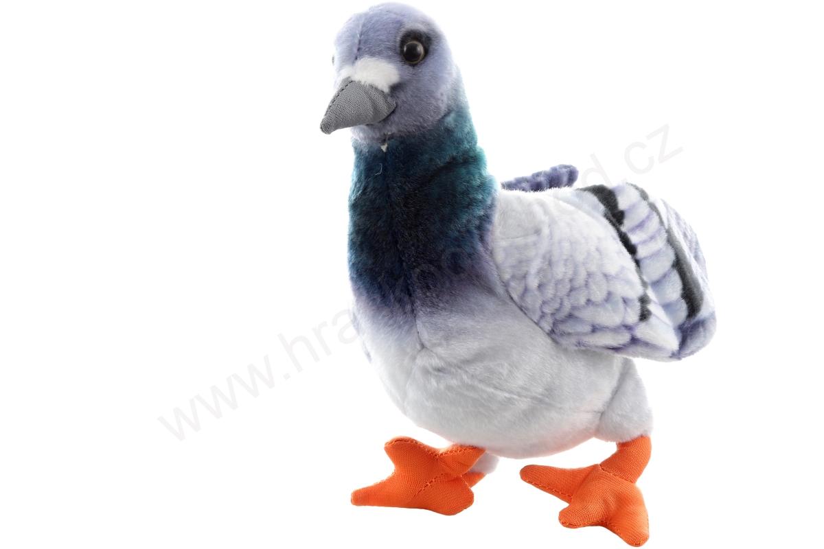 Plyšový HOLUB šedý 22 cm