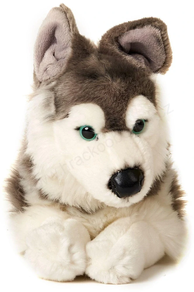 Plyšový pes HUSKY 34 cm