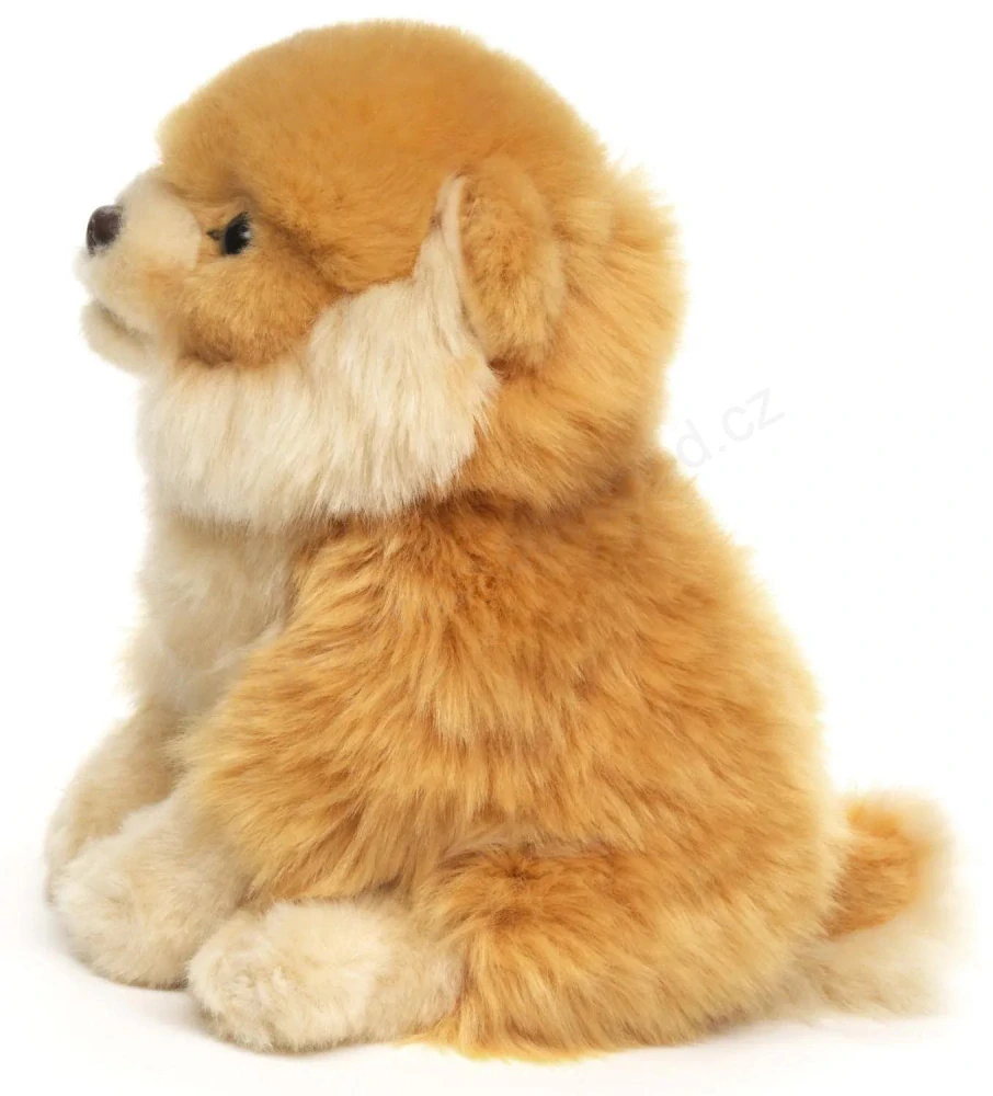 Plyšový Pes Pomeranian, štěně 17 cm