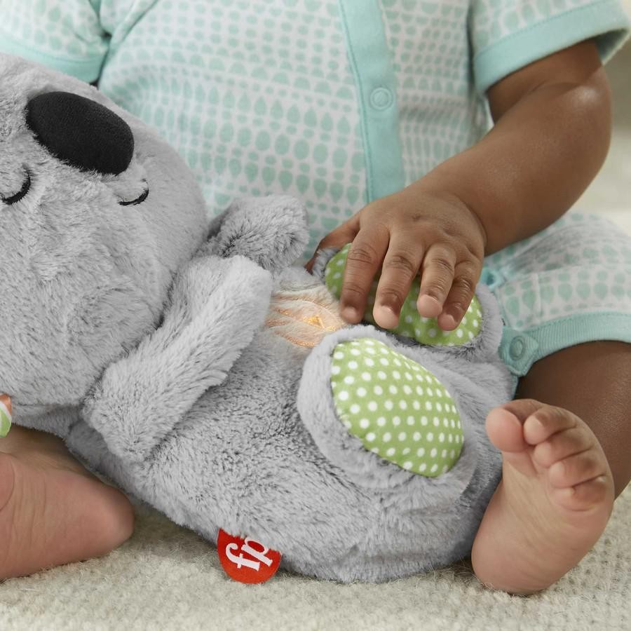 Fisher-Price Uklidňující koala s melodiemi GRT59