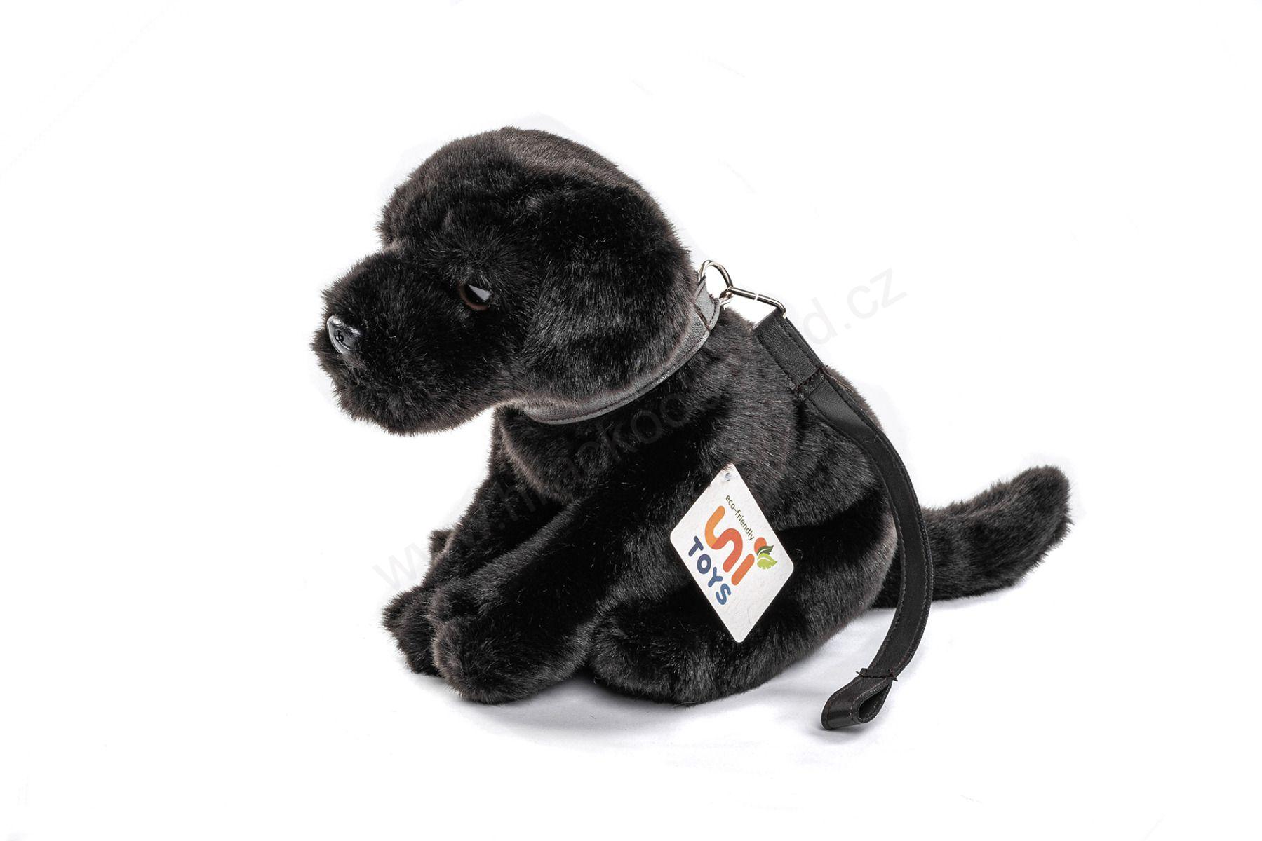 Plyšový pes Labrador černý s vodítkem, sedící, 30 cm - ECO-FRIENDLY