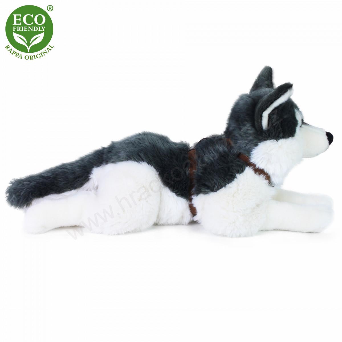  Plyšový pes husky s postrojem, ležící, 60 cm ECO-FRIENDLY 