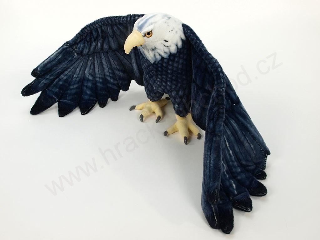 Plyšový pták orel s roztaženými křídly černý 146 cm