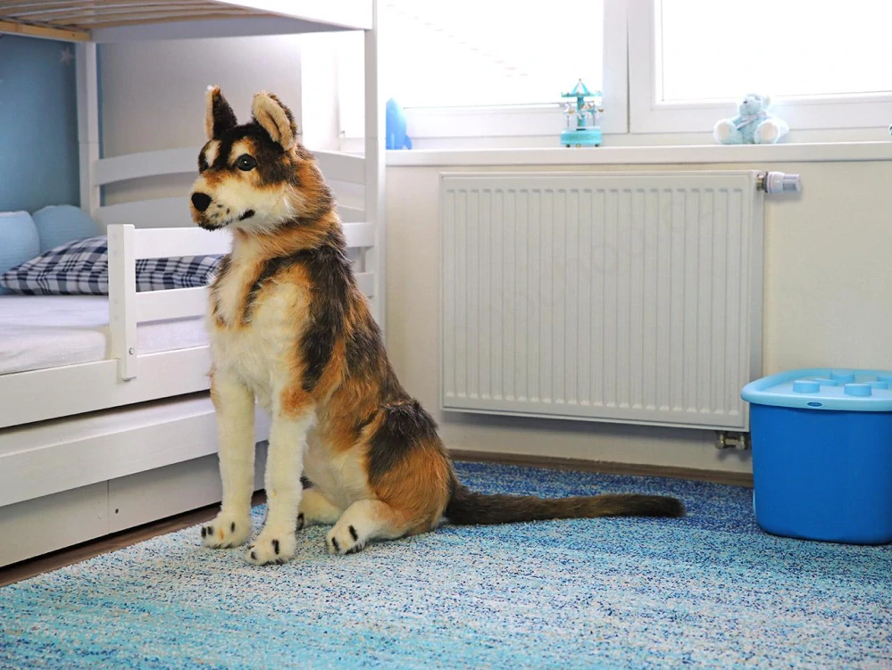 Plyšový pes husky s realistickou srstí 100 cm + ocas 55 cm