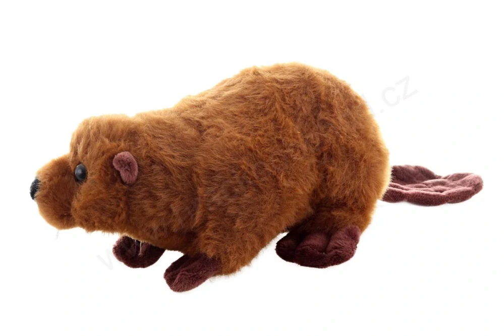 Plyšový bobr 21 cm
