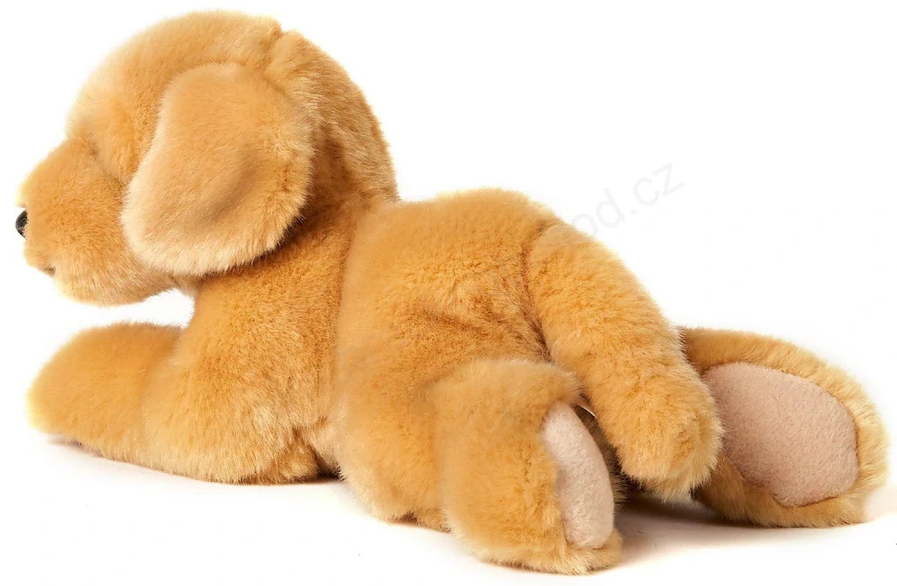 Plyšový Pes retrívr 23 cm