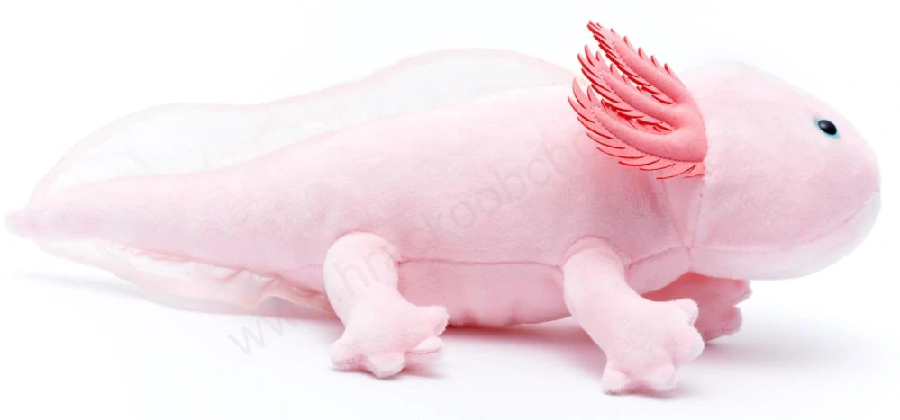 Plyšový Axolotl růžový 32 cm