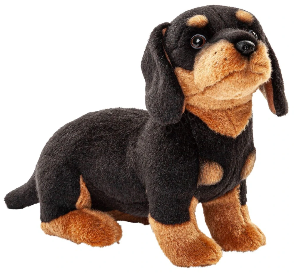 Plyšový pes JEZEVČÍK 27 cm,  s vodítkem