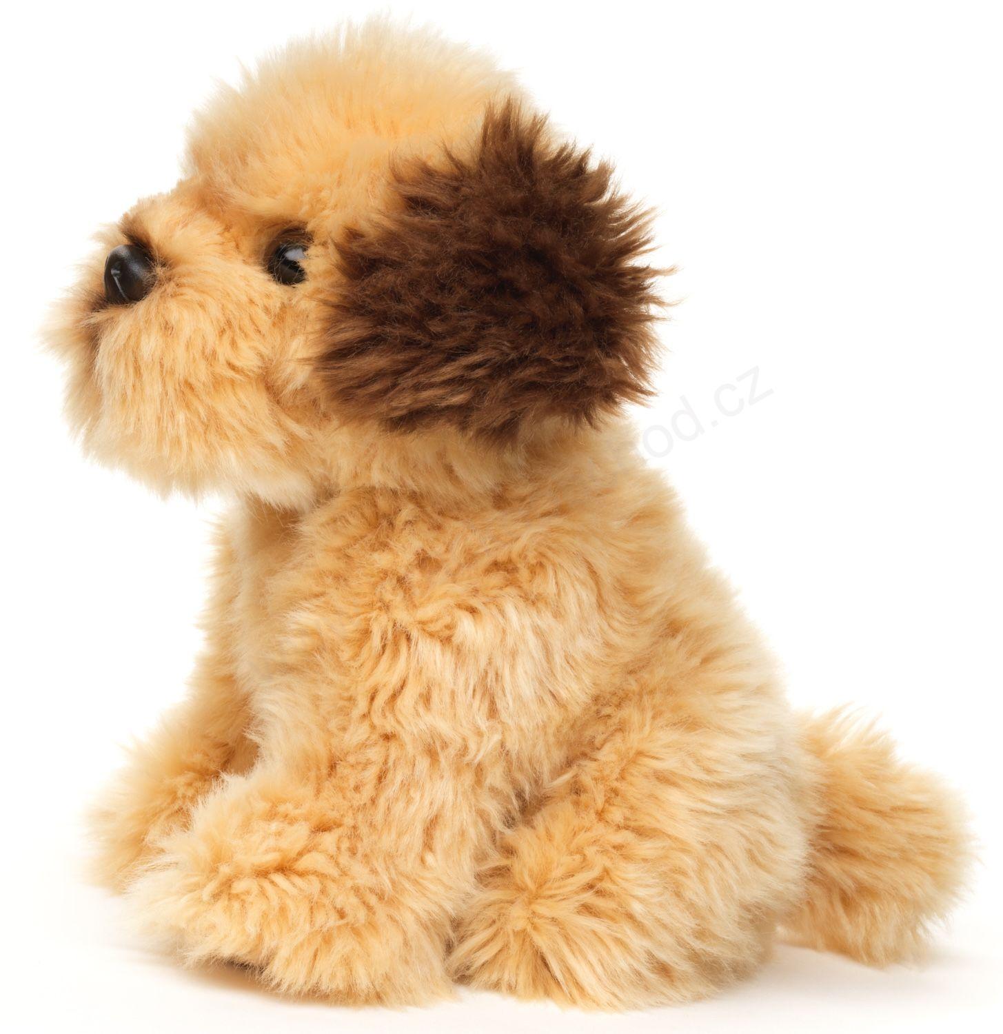 Plyšový pes Shih-tzu (havanský psík) 18 cm ECO FRIENDLY