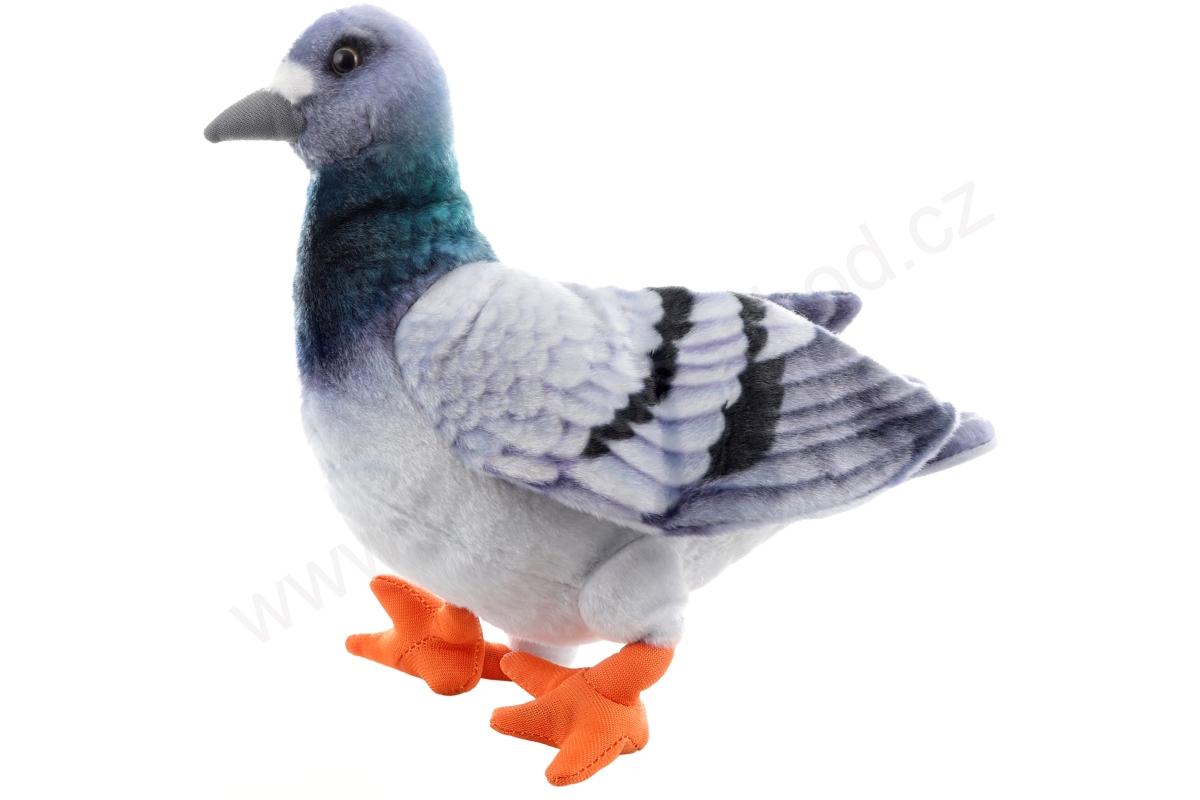 Plyšový HOLUB šedý 22 cm
