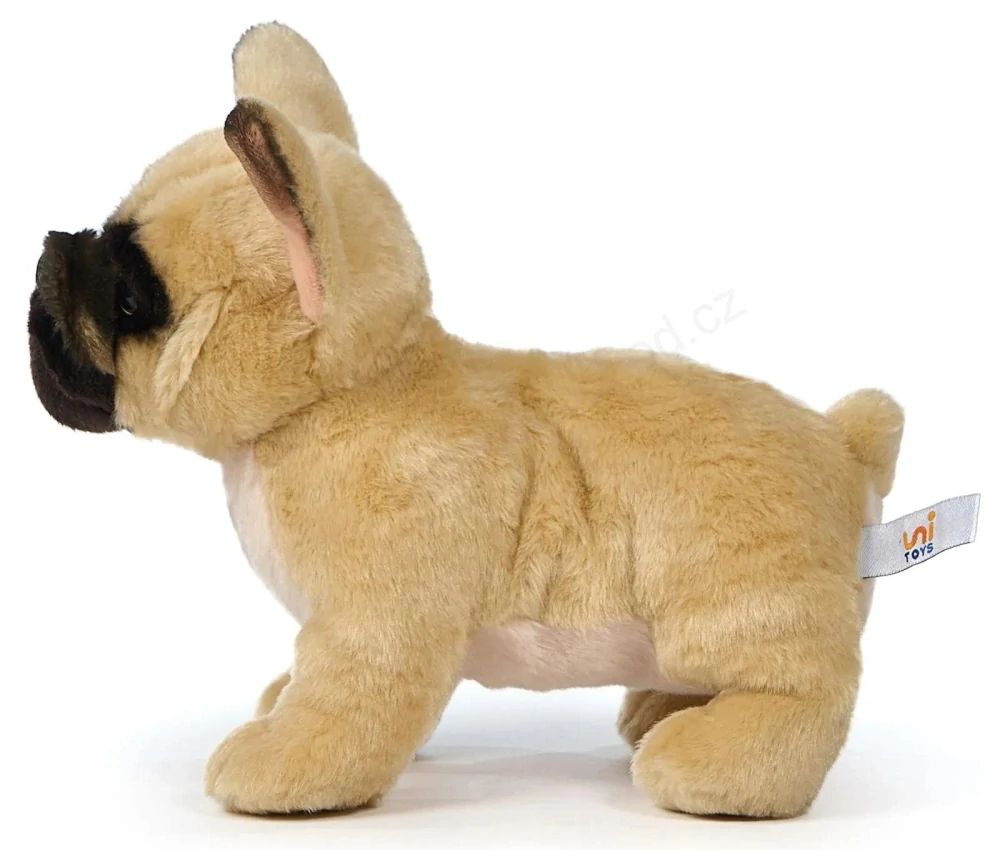 Plyšový pes Francouzský buldoček 26 cm Eco-friendly