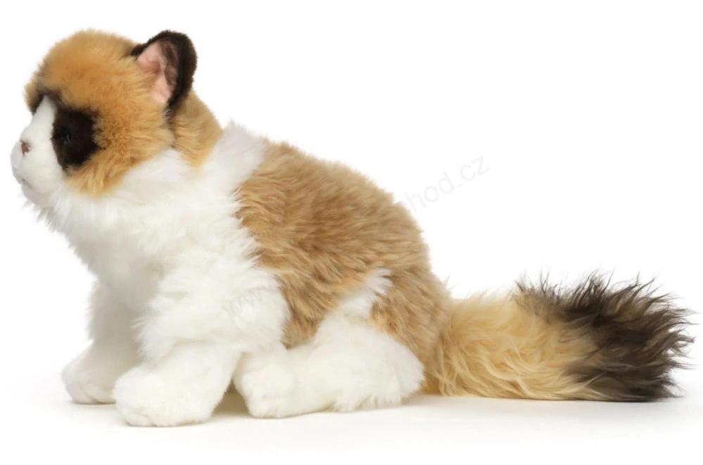 Plyšová kočka RAGDOLL Ragdoll 23cm, sedící Eco-friendly