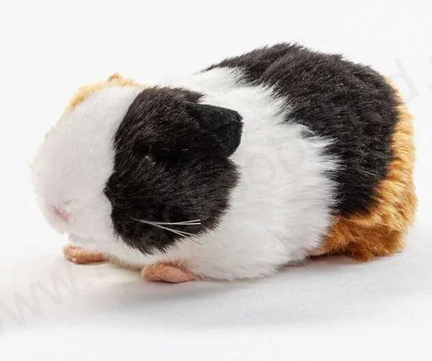 Plyšové morče tříbarevné polodlouhosrsté 21 cm