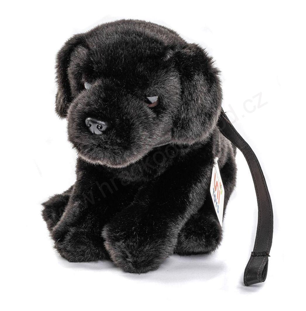 Plyšový pes Labrador černý s vodítkem, sedící, 30 cm - ECO-FRIENDLY