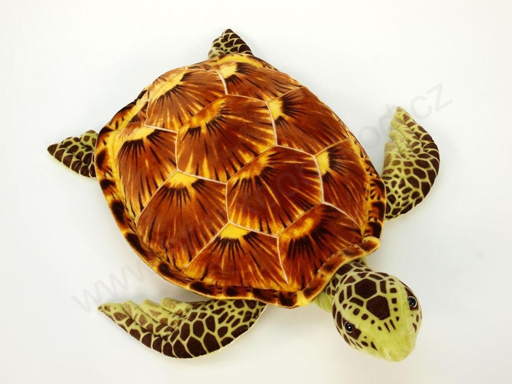 Plyšová želva hnědá 34 cm