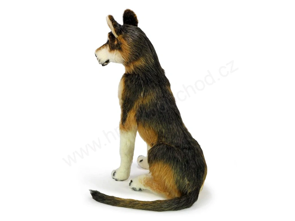 Plyšový pes husky s realistickou srstí 100 cm + ocas 55 cm