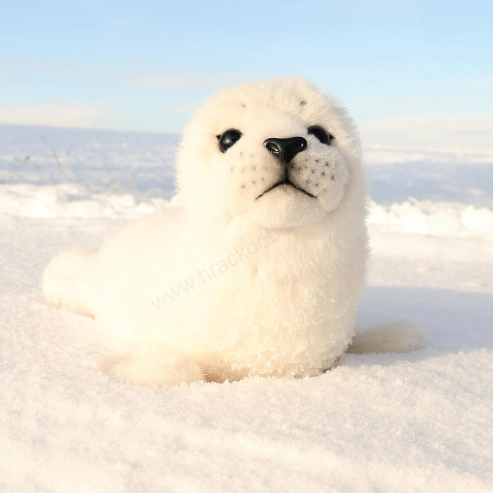 Plyšový tuleň bílý 30 cm ECO-FRIENDLY