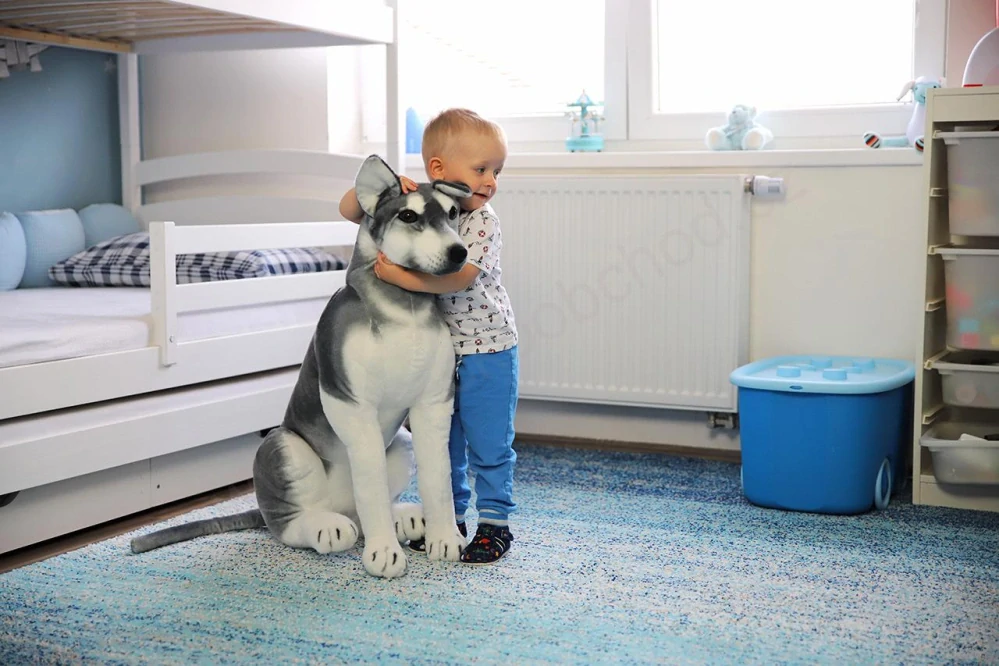 Plyšový pes husky sedící 90 cm + ocas 43 cm