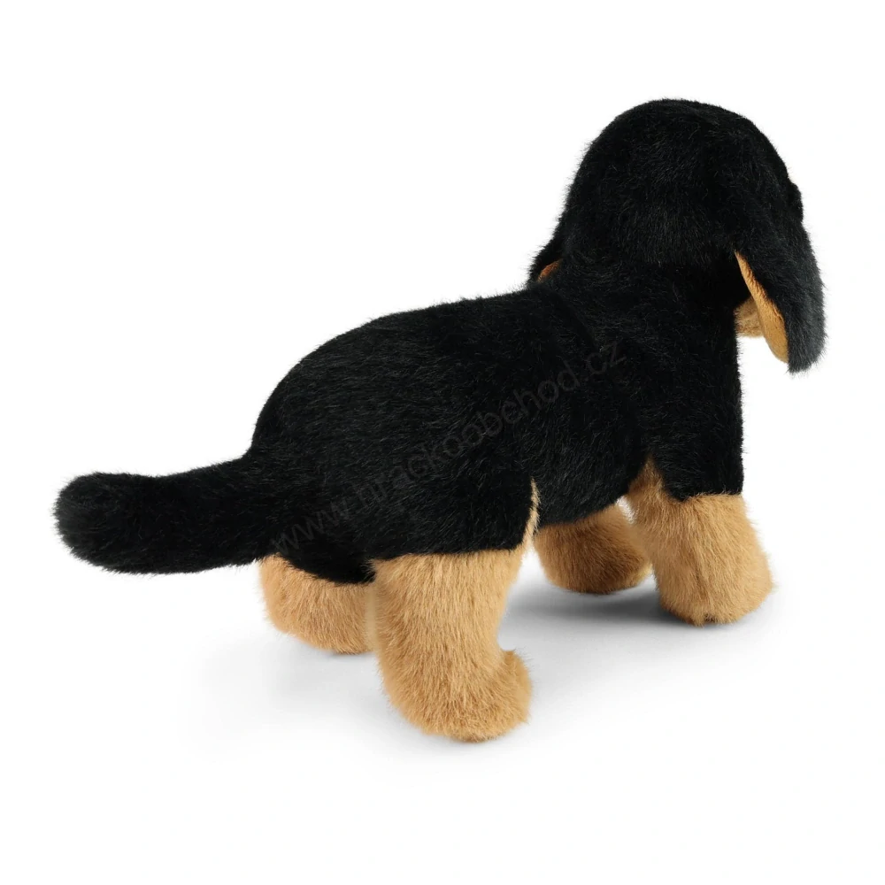 Plyšový pes jezevčík stojící 23 cm SOFT COLLECTION
